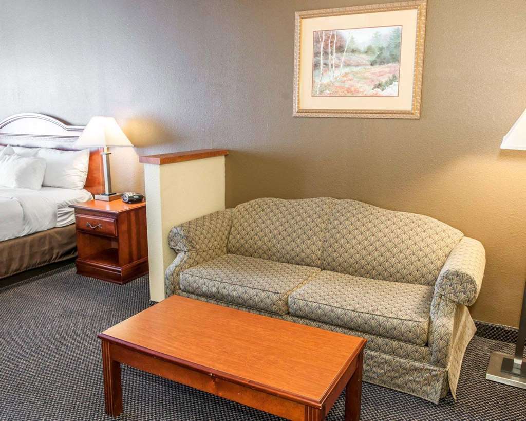 Comfort Suites Auburn Near I-69 Room photo